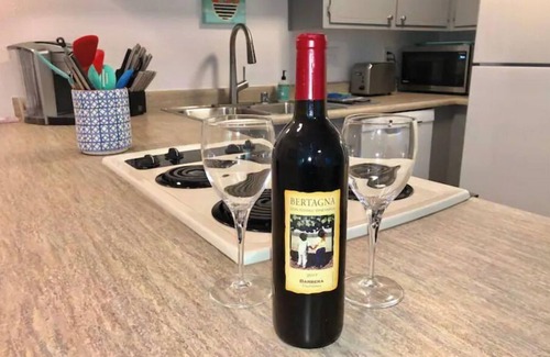 Chico Apartment | Contemporary Suite in the Heart of Downtown Chico