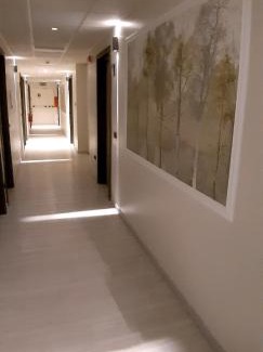 Riale Hotel | Continental Urban Art Hotel