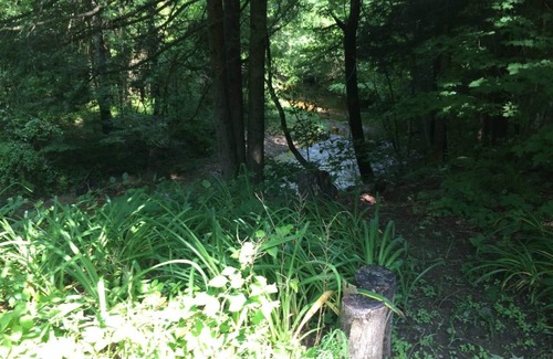 New Marlborough House | Converted Berkshire schoolhouse on a quiet river