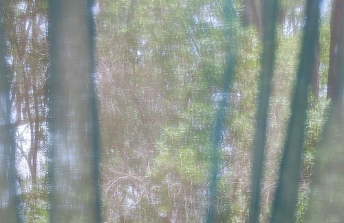 Lizzano House | COOEE Surf House and Hospitality