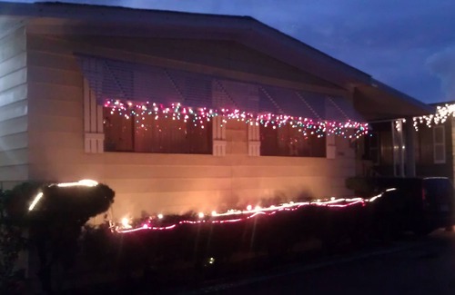 Arthur's Town House | Cookie House