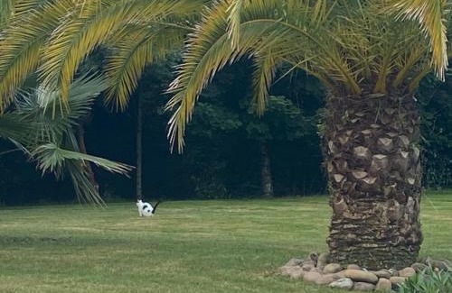 Saint-Andre-de-Seignanx House | Coquette chambre personnalisée chez l habitant