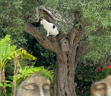 Saint-Andre-de-Seignanx House | Coquette chambre personnalisée chez l habitant