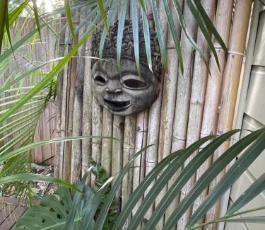 Narrabeen House | Coral Cove