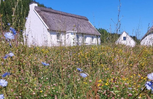 Killinaboy Cottage | Corofin Lake Cottage No 4