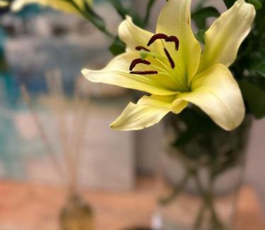 Lucca Historical Center Apartment | Corso131-Dimora Storica nel Centro Storico