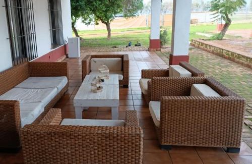 Carmona House | Cortijo la amazona