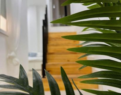 Algeciras Apartment | Costa by Hawkins Algeciras - Interior 1B