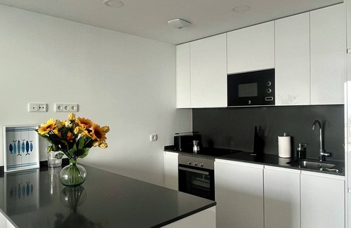 Torre del Mar Apartment | Costa del Sol Beachfront Apartment in EL BALCONCITO