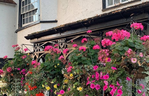 East Molesey House | Cosy, 2-Bed Surrey cottage; easy access into London n