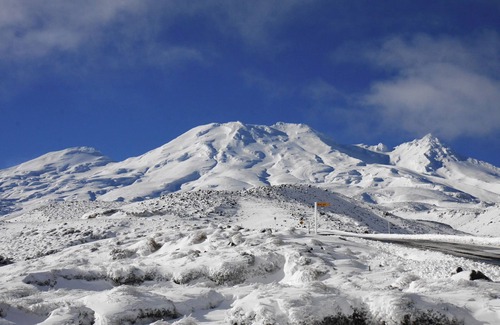 Ohakune Cabin | Cosy 4 Bunk Cabin, Mountain Views, Pet Friendly.