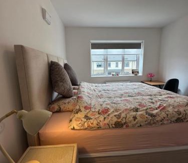 Ahascragh House | Cosy and beautiful home Vegetarians only