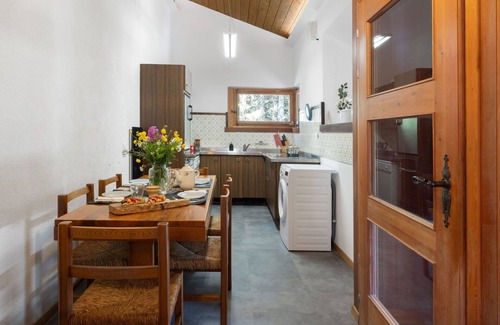 Mesocco Apartment | Cosy apartment for 3 guests with WIFI, TV, patio and pets allowed