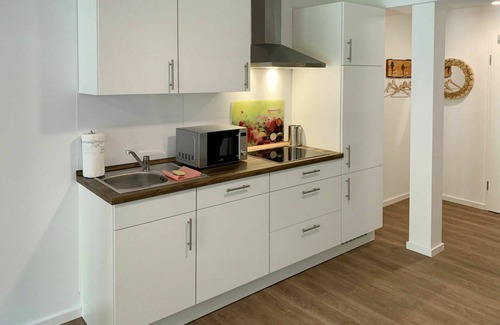 Eversmeer Apartment | Cosy apartment for 3 guests with WIFI, TV, terrace, pets allowed and parking