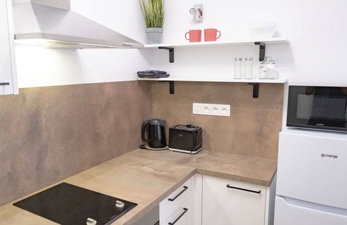 Jachymov Apartment | Cosy apartment for 5 people with WIFI, TV, terrace, pets allowed and parking
