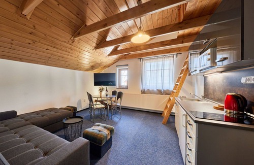 Cerny Dul Apartment | Cosy apartment for 7 people with WIFI, TV, pets allowed and parking