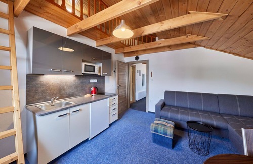 Cerny Dul Apartment | Cosy apartment for 7 people with WIFI, TV, pets allowed and parking