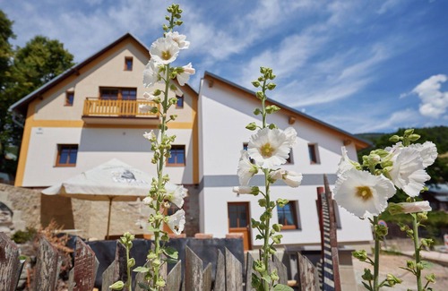 Cerny Dul Apartment | Cosy apartment for 7 people with WIFI, TV, pets allowed and parking