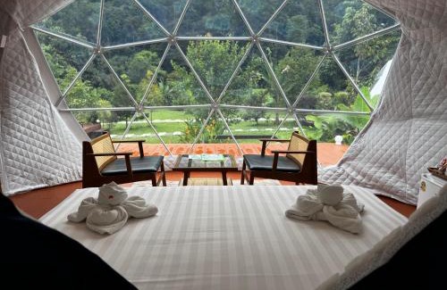 Khlong Sok Other | Cosy Garden Khao Sok