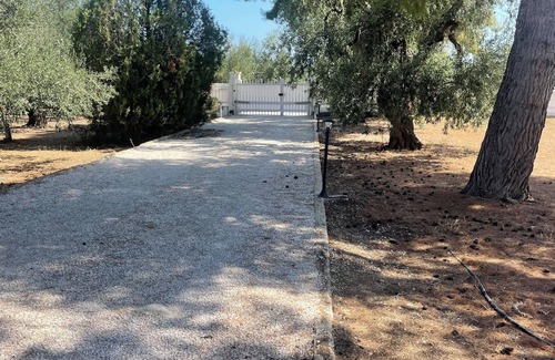 Trani Villa | Cosy guest house on private olive orchard estate surounded by fruit trees.