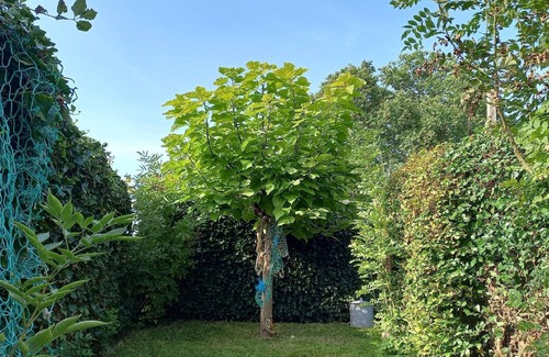 Goedereede Apartment | Cosy mobile home with 3 bedrooms