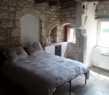 Lemere House | Cottage 10 minutes from Chinon