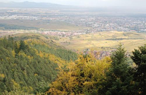 Trois-Epis Bed & Breakfast | Cottage 1956 - Maison d'hôtes