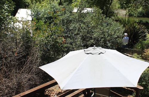 Guerneville Cottage | Cottage #4 is now available, with a 32 day minimum rental