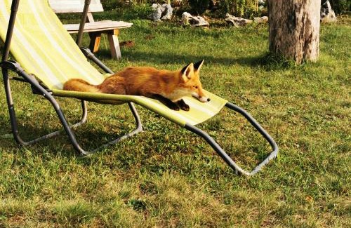 Plitvicka Jezera House | Cottage La Sierra with JACUZZI