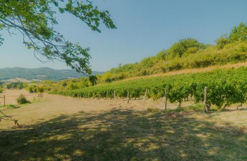 Mirabel-et-Blacons House | Cottage Lucien - La Souche Fleurie