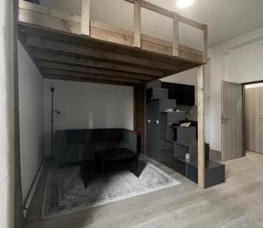 Brno-stred Apartment | Cotton&Loft - Brno City Center Apartment