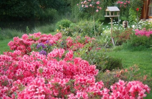 La Bussiere Cottage | Country Cottage/Gite - LA BUSSIERE