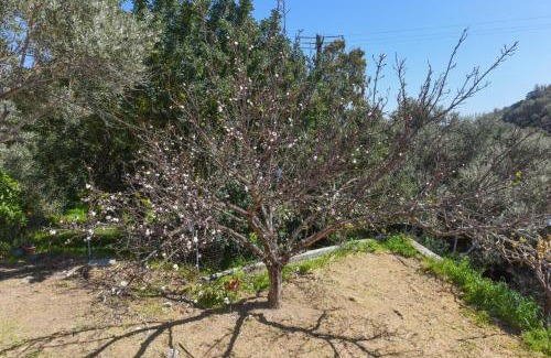 Limnionas House | Country house in Limnionas