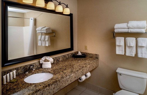 Tad Hotel | Country Inn & Suites by Radisson, Charleston South, WV