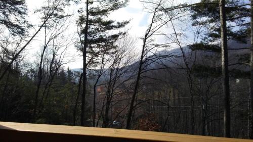 Asheville House | Country Log Cabin-15 min to Asheville