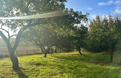 Crediton House | Countryside cottage near Crediton