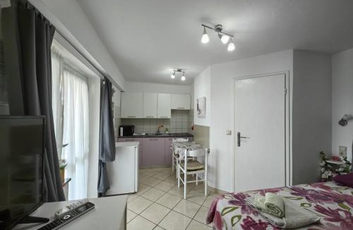 Salatic Apartment | Countryside Studio Apartment Valentina
