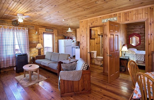 Statts Mills Cabin | Cozy 2-bedroom cabin in charming Statts Mills with AC