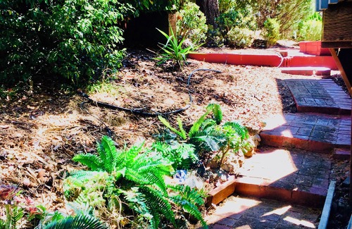 West End House | Cozy 2-bedroom house in charming San Rafael with AC, WiFi