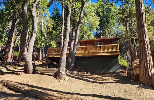 Alta Sierra Cabin | Cozy 2-bedroom Cedar cabin in charming Sequoia National Park with WiFi