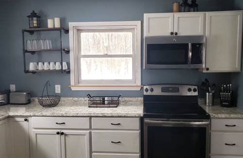 Farwell House | Cozy 4 Bedroom Cabin Nestled in the Beautiful Central Michigan