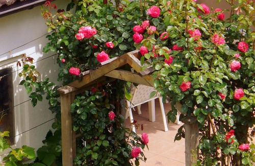 West Mooswald Apartment | Cozy 4 star apartment on the outskirts of Freiburg.