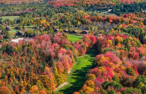 Bellaire House | Cozy A-frame Cabin At Schuss Mt Ski, Golf
