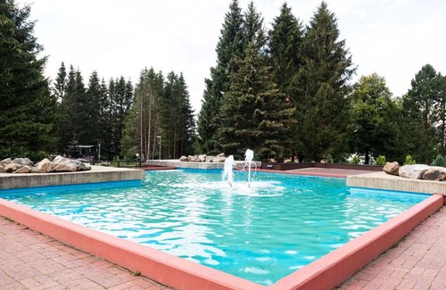 Altenau Apartment | Cozy Apartment in Altenau Harz near Ski Area Hahnenklee