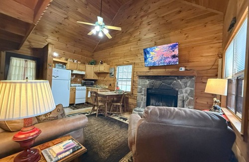 Maggie Valley Cabin | Cozy Bear Log Cabin, View, Wifi, Dogs Allowed