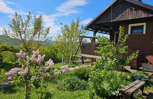 Poljanak Apartment | Cozy Bungalow Stipe