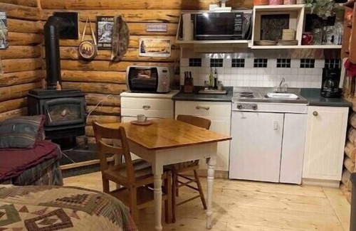 Clearwater County Cabin | Cozy country log cabin Art/Spa Getaway