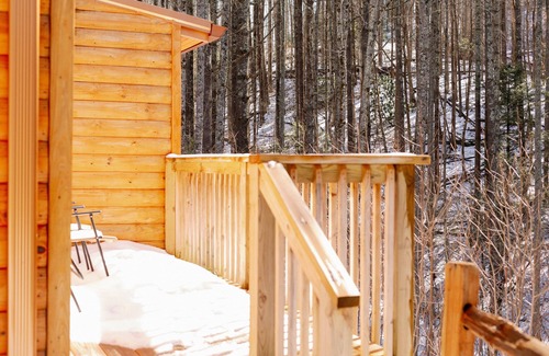 Roan Mountain Cabin | Cozy Cabin #3 - 4 Wheel Drive Needed During Winter