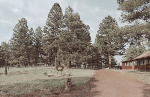Coconino County Cabin | Cozy cabin in Mormon Lake