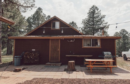 Coconino County Cabin | Cozy cabin in Mormon Lake